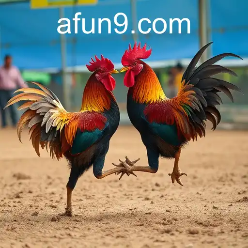 Exploring the World of Sabong Games with Afun